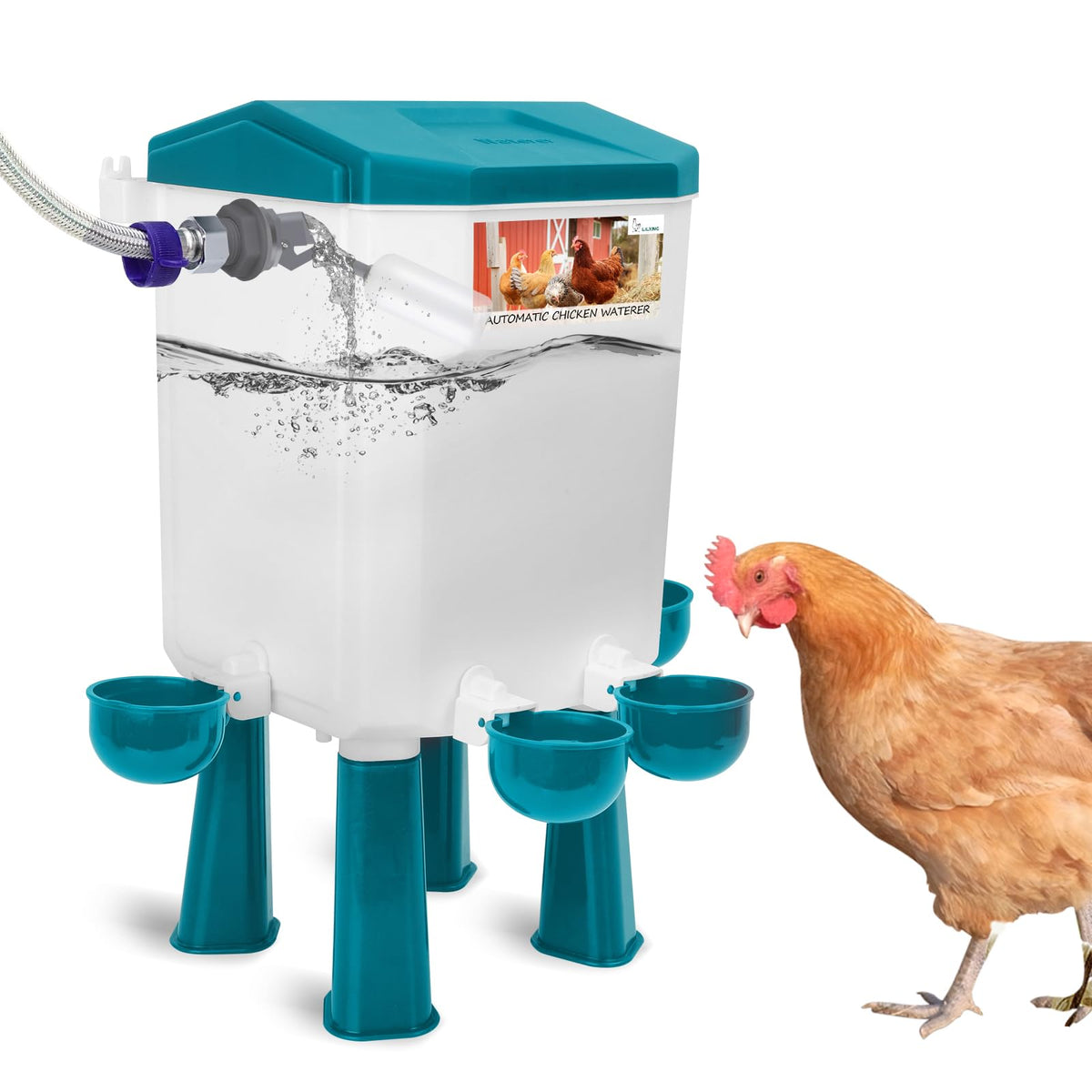 Automatic Chicken Waterer K1194