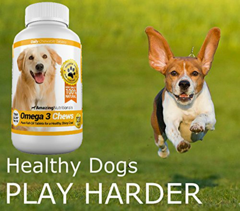 Omega-3 Fish Oil and Turmeric Curcumin Chews for Dogs P438