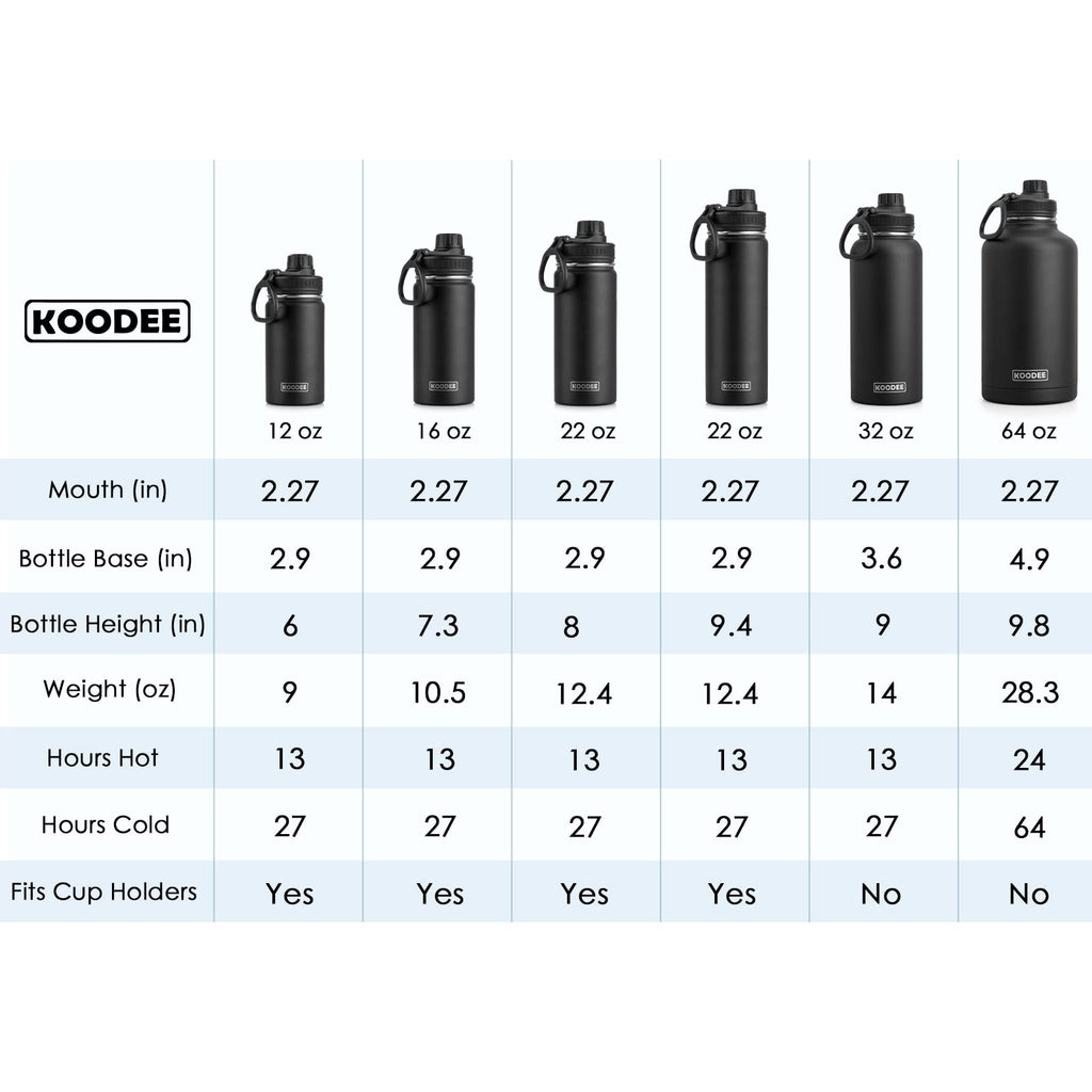 Stainless Steel Vacuum Insulated Water Bottle 16 oz 2 Pack I15128