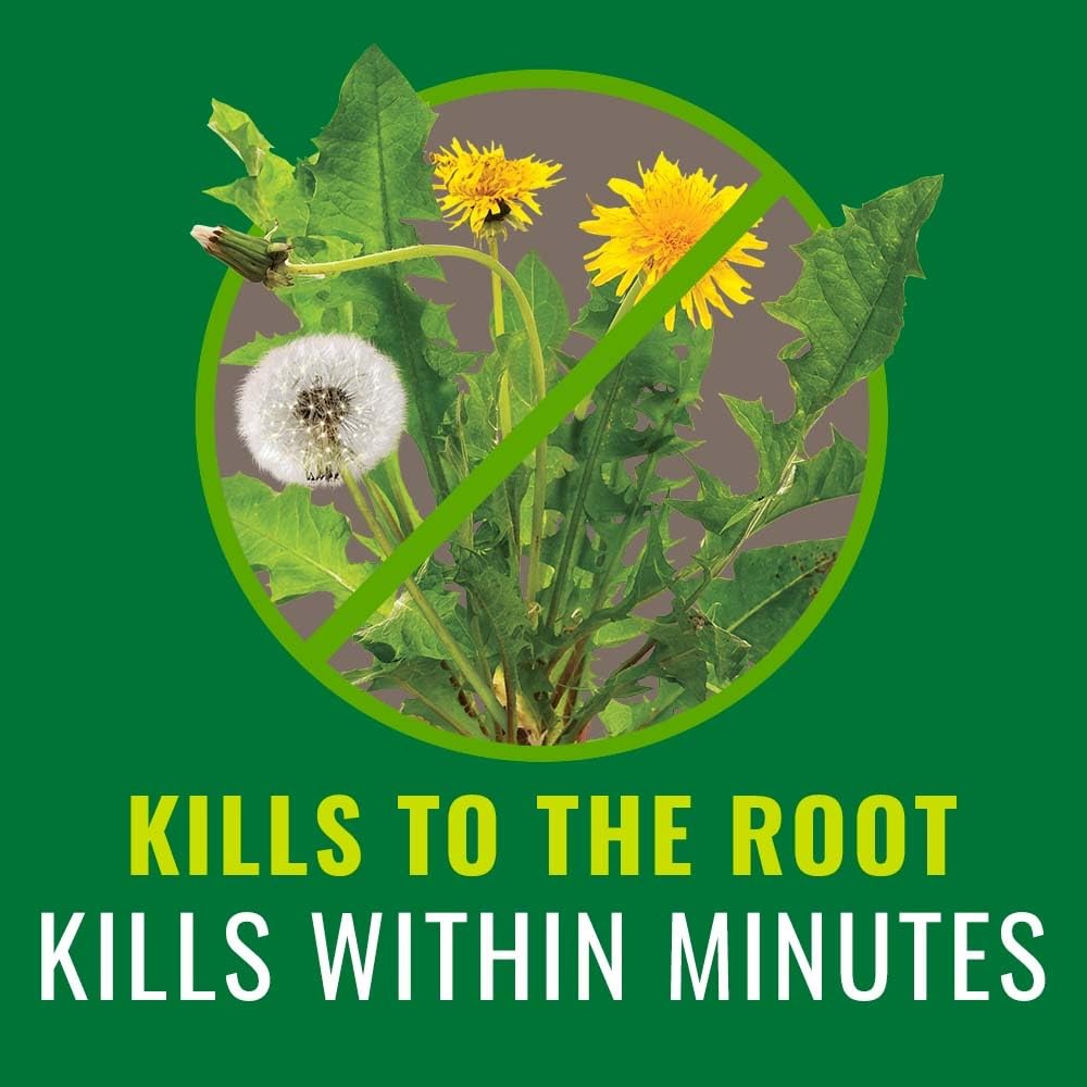 Grass and Weed Killer 1 Gal Z5057