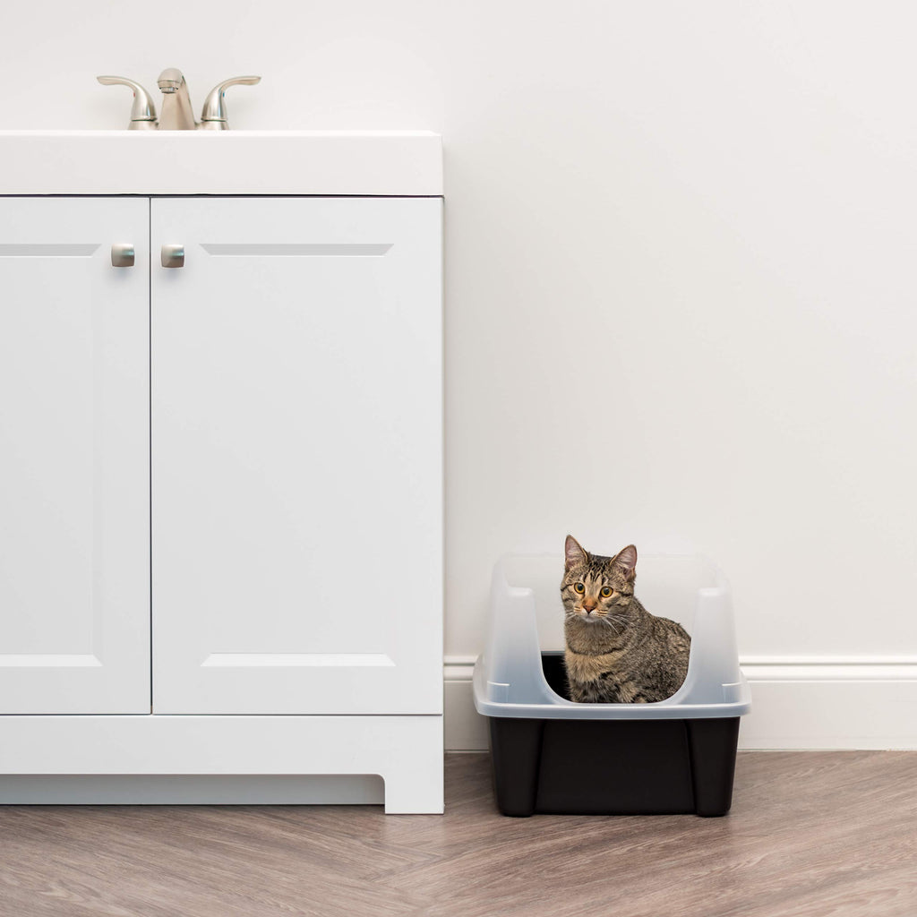 High Sided Cat Litter Box with Scatter Shield, Black R223439