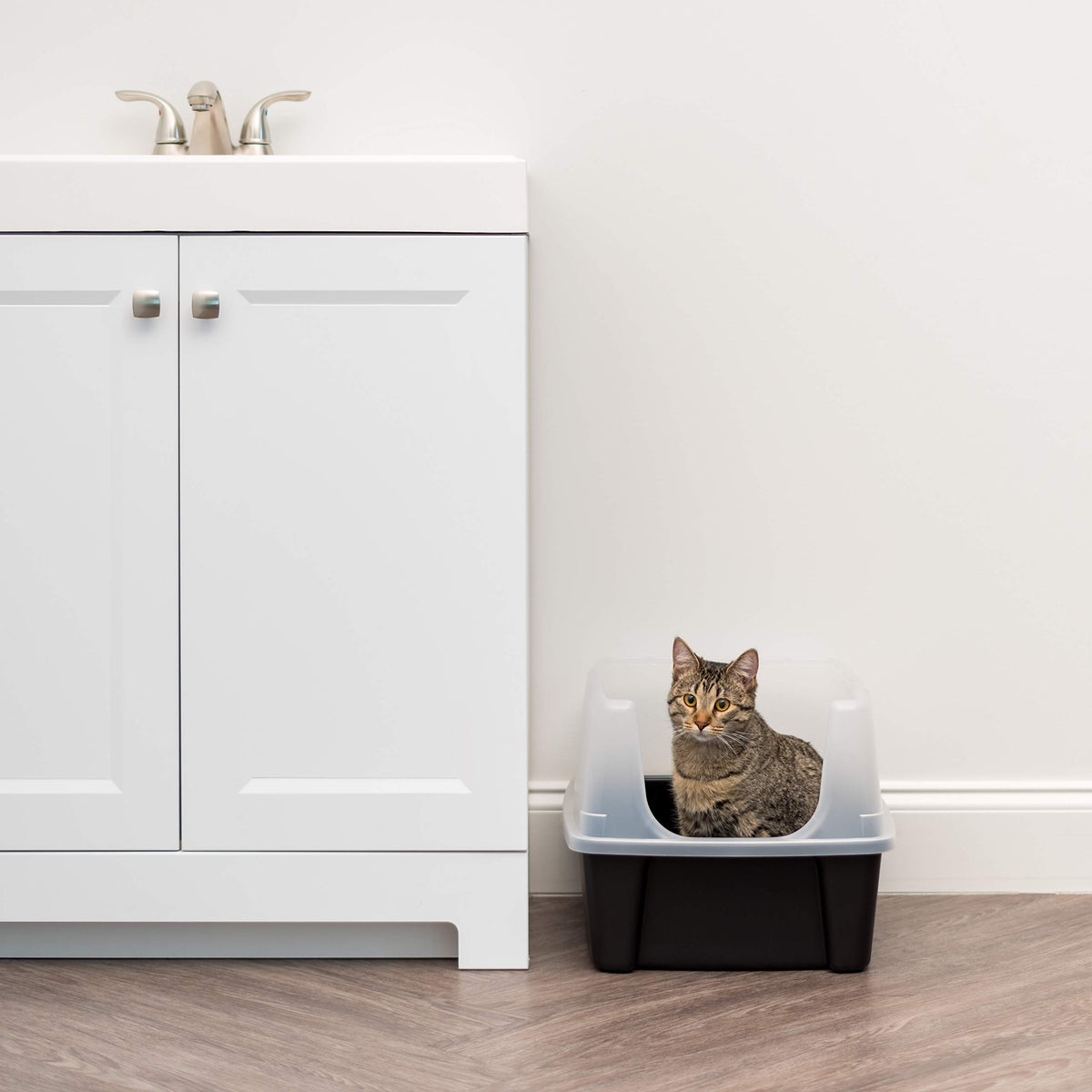 High Sided Cat Litter Box with Scatter Shield, Black R223439