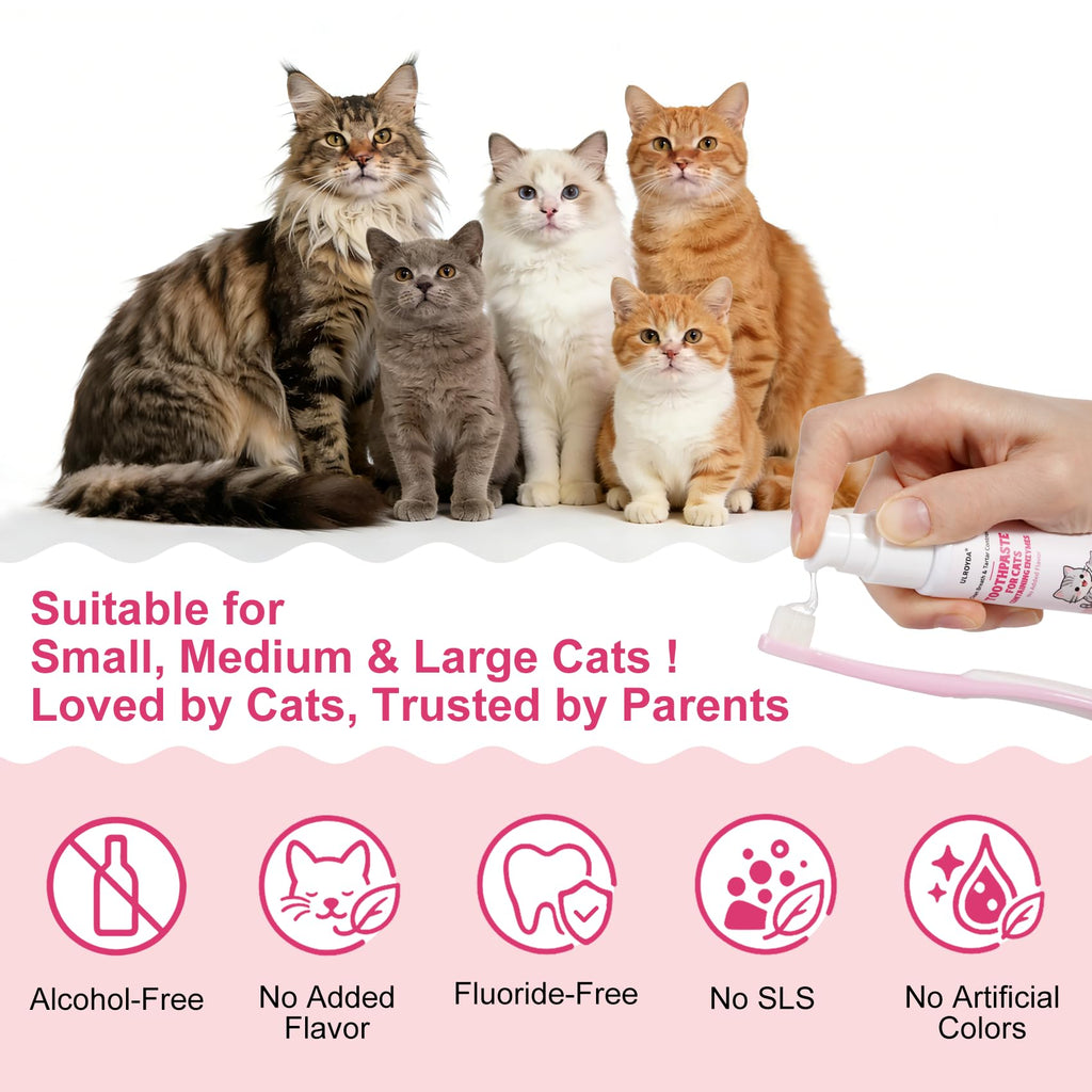 Cat Toothbrush and Toothpaste Dental Care Kit H4374