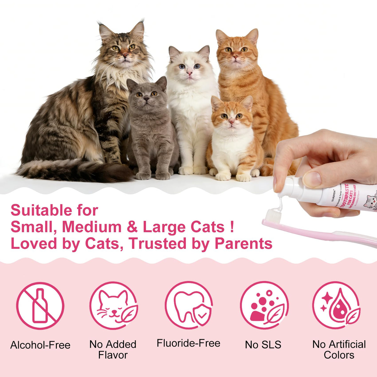Cat Toothbrush and Toothpaste Dental Care Kit H4374