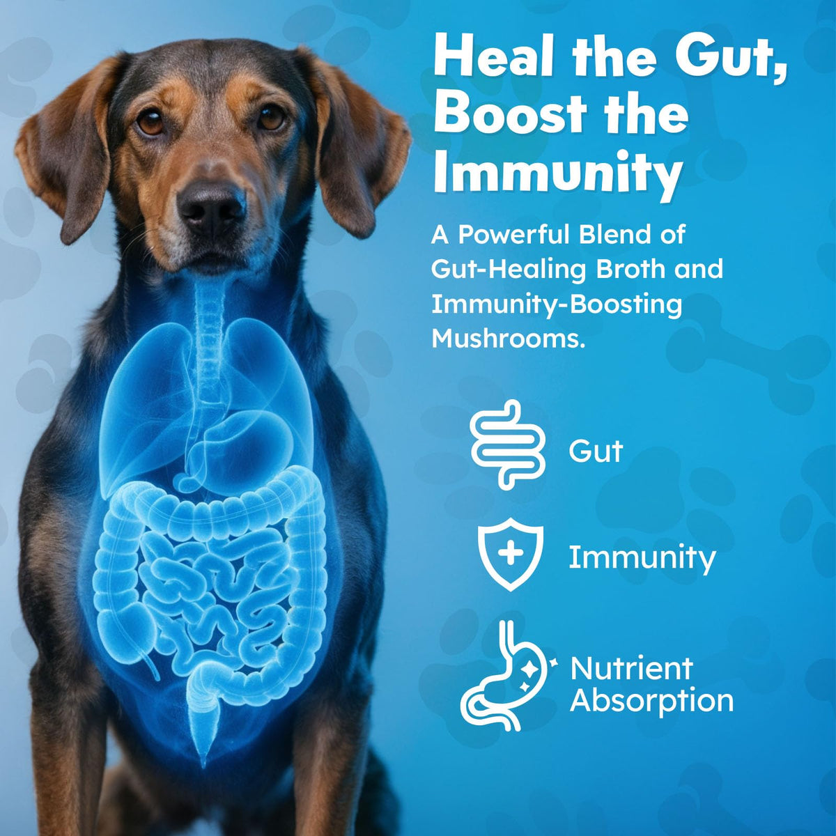 Beef Bone Broth Powder for Dogs B444