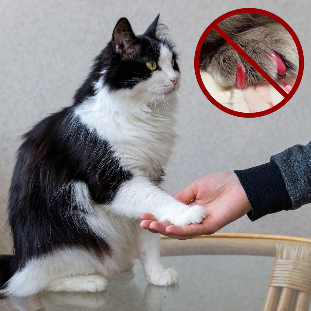 42 Pcs Pet Nail Grinder Replacement Kit with Sanding Bands K347