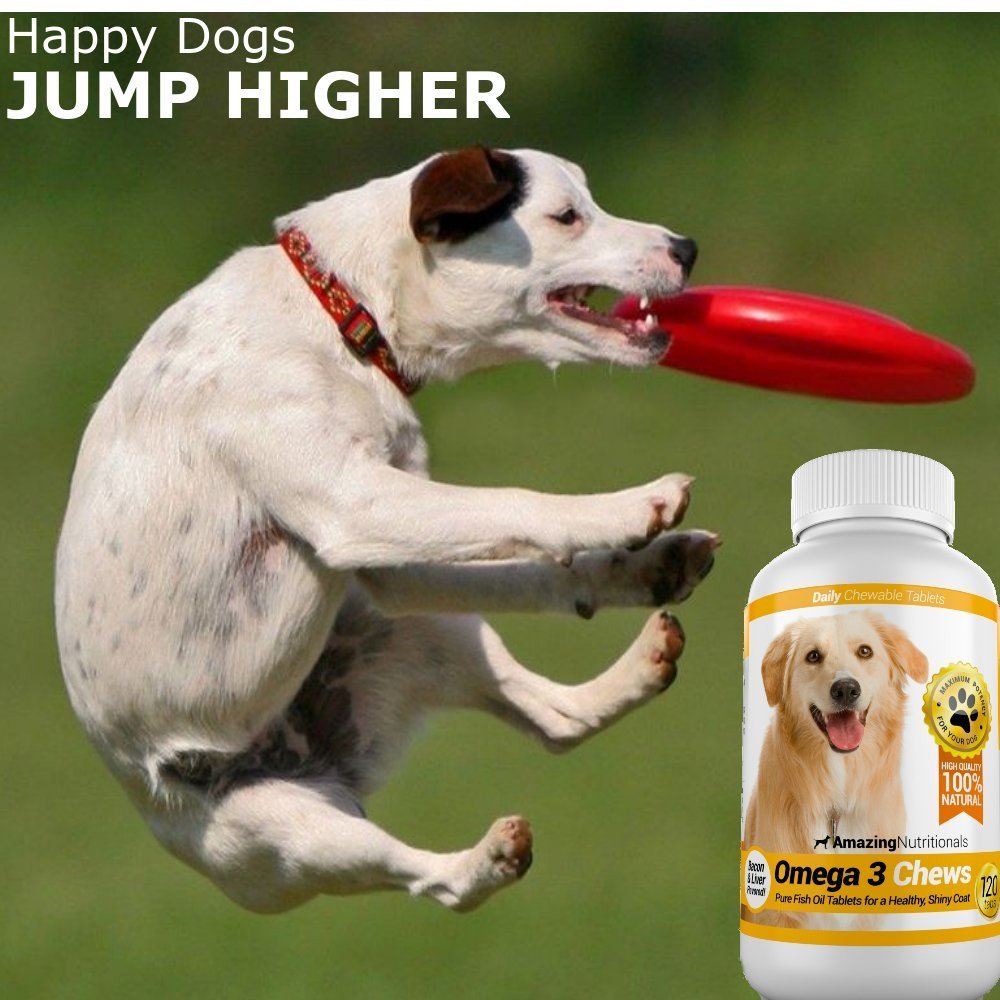 Omega-3 Fish Oil and Turmeric Curcumin Chews for Dogs P438