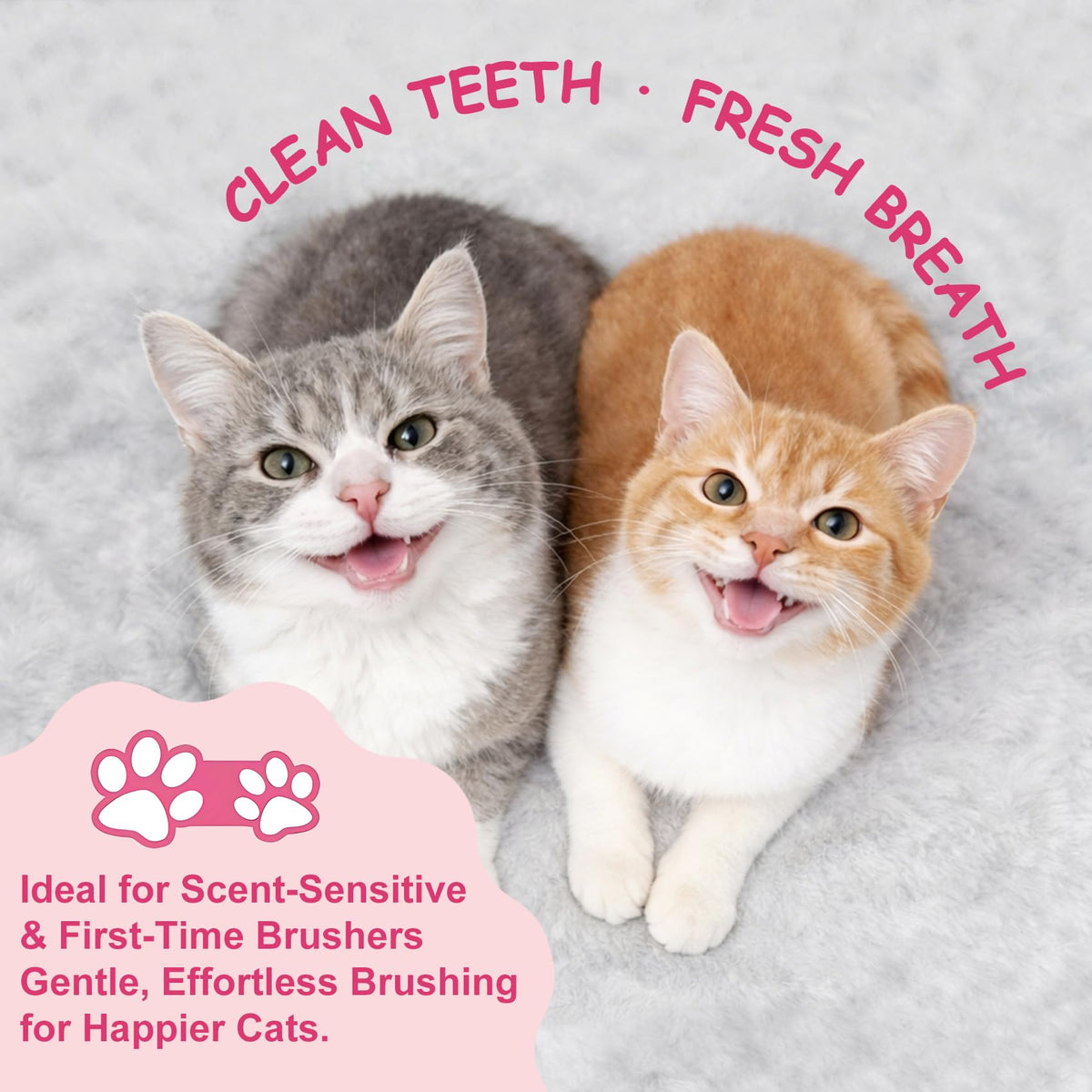 Cat Toothbrush and Toothpaste Dental Care Kit H4374