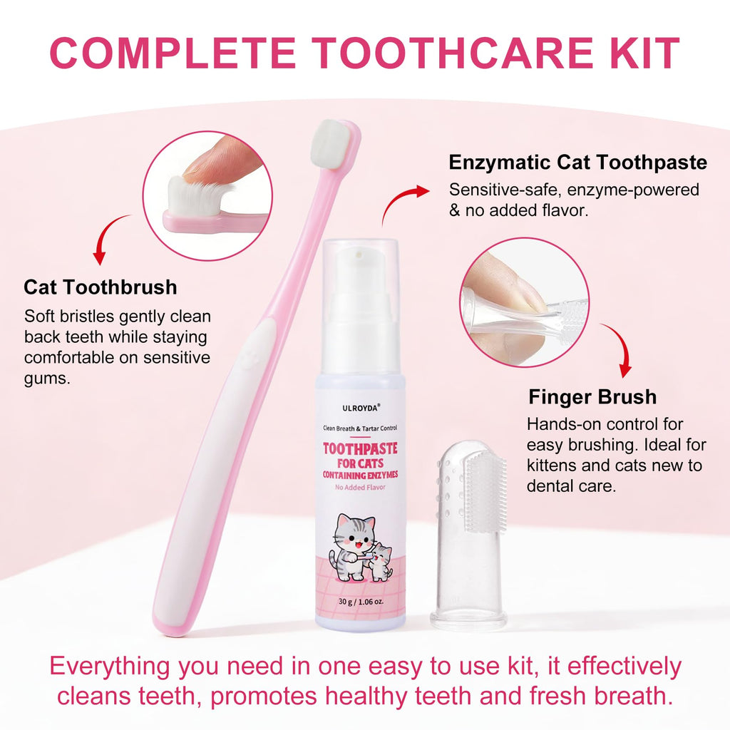 Cat Toothbrush and Toothpaste Dental Care Kit H4374