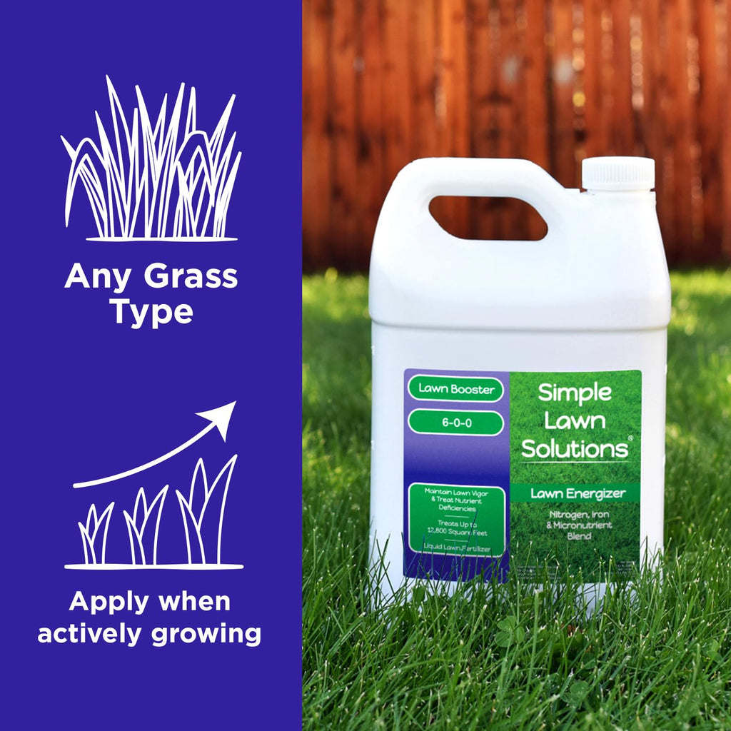 Commercial Grade Liquid Grass Fertilizer with Nitrogen, Iron, Micronutrients 1 Gallon W854586