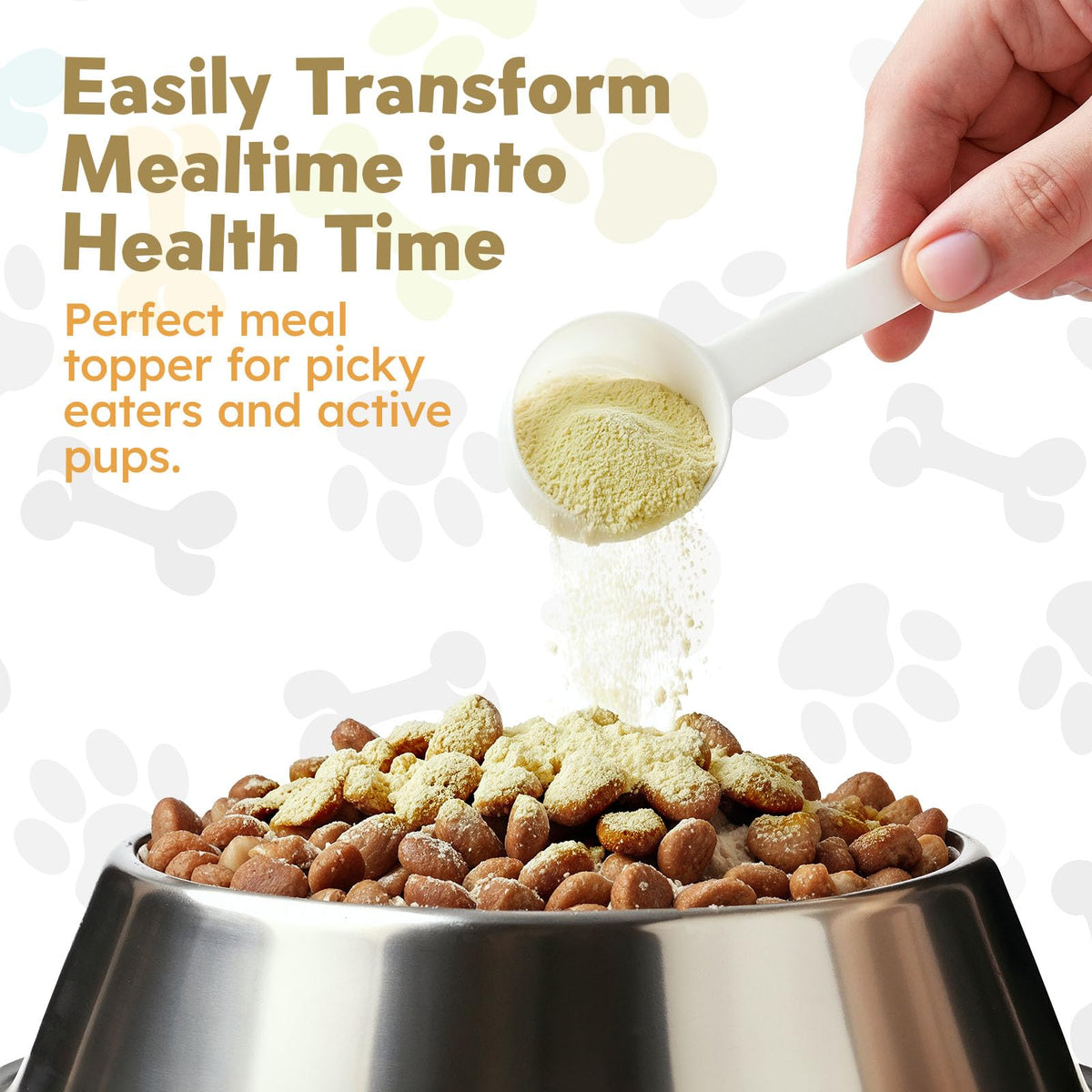 Beef Bone Broth Powder for Dogs B444