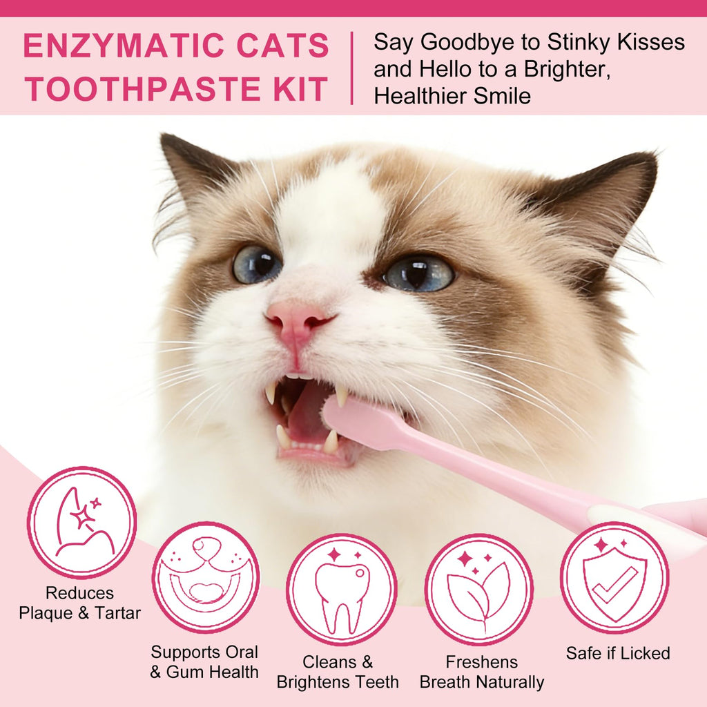 Cat Toothbrush and Toothpaste Dental Care Kit H4374