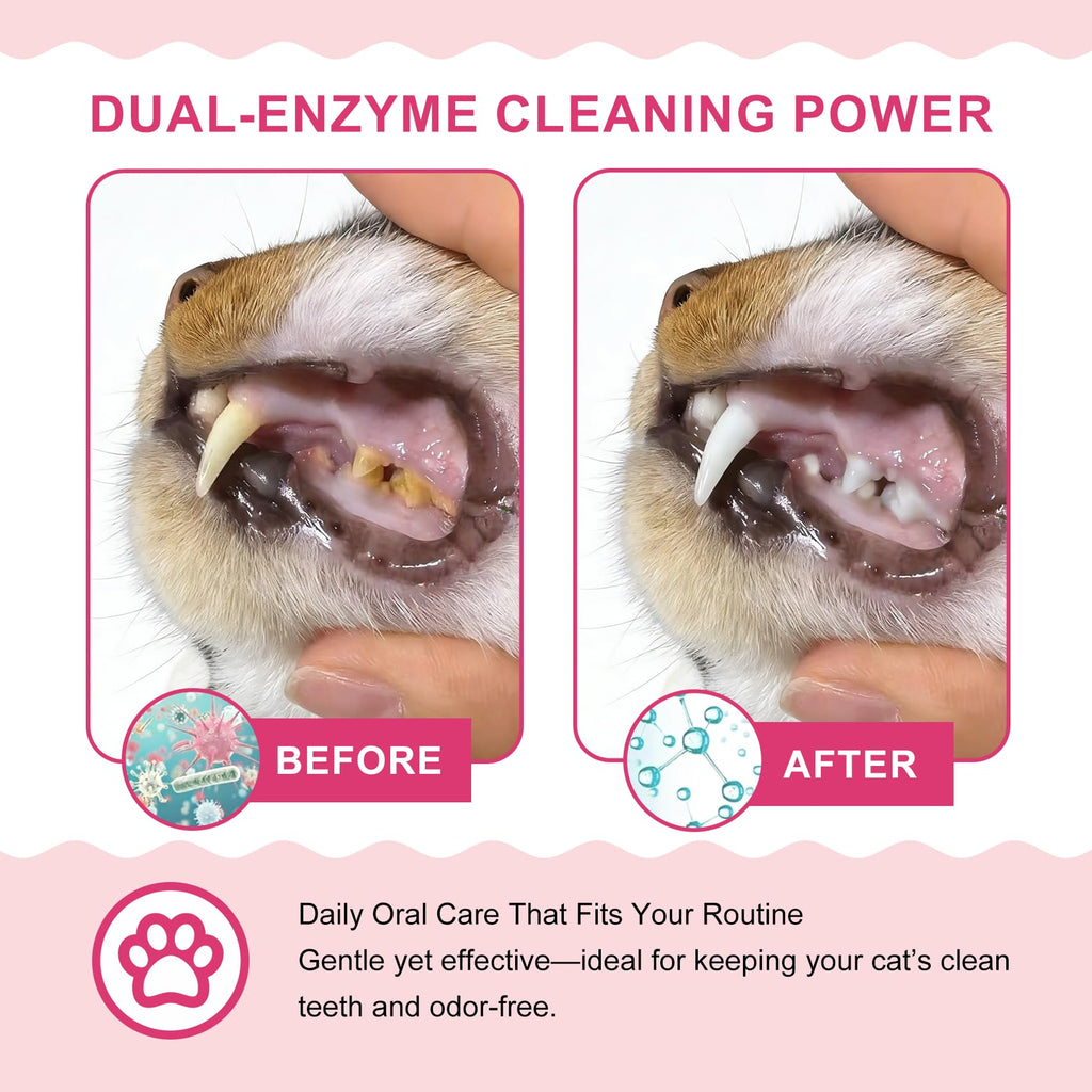 Cat Toothbrush and Toothpaste Dental Care Kit H4374