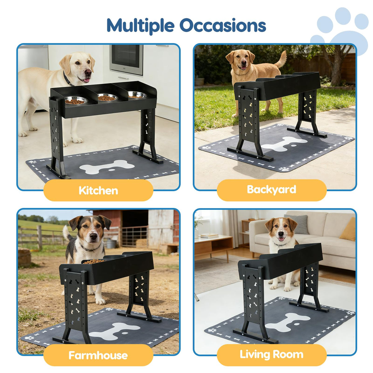 Elevated Dog Bowls with 3 Stainless Steel Bowls W177