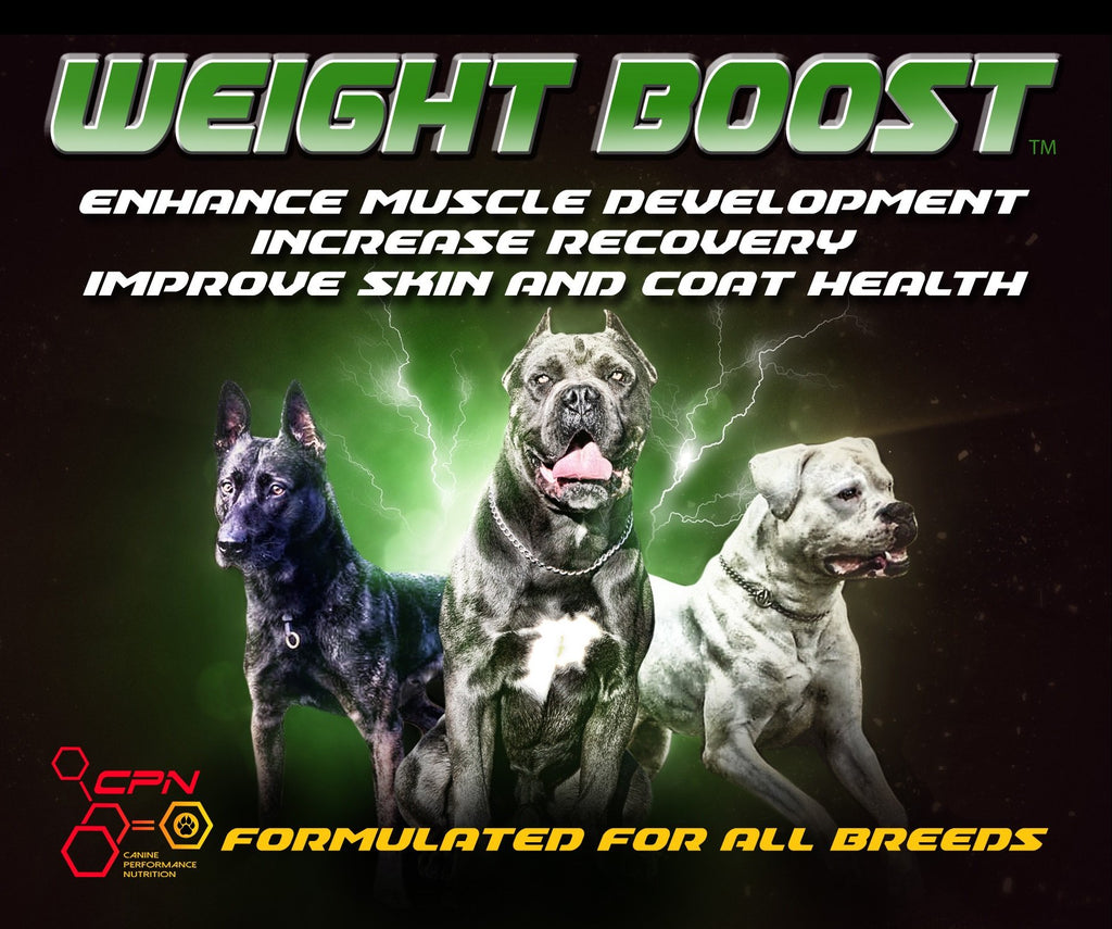 High Calorie Dog Food Supplement 6lb Z307880