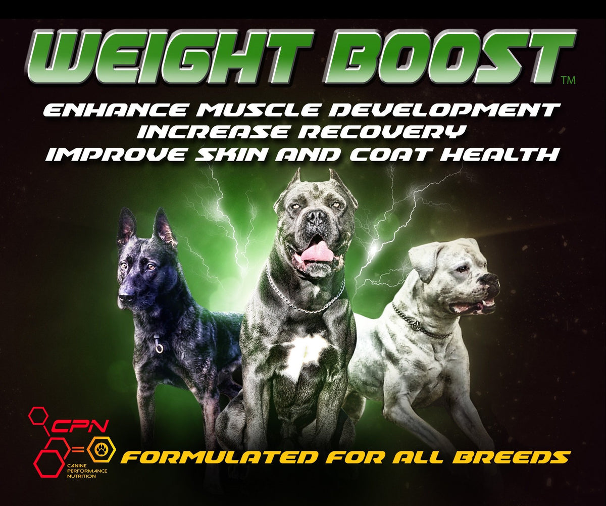 High Calorie Dog Food Supplement 6lb Z307880
