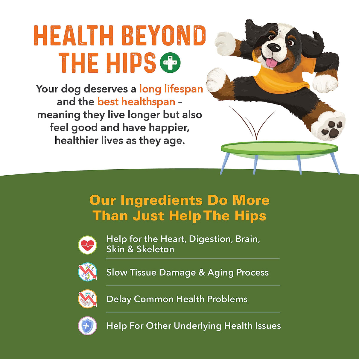 Hip and Joint Supplement for Dogs 90 Ct Soft Chews C61302