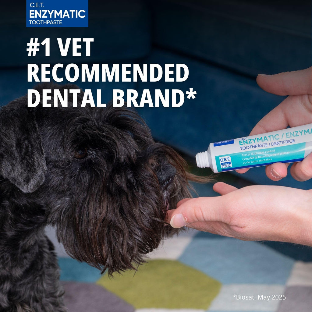 Seafood flavor Cat Toothpaste with Toothbrush Z504