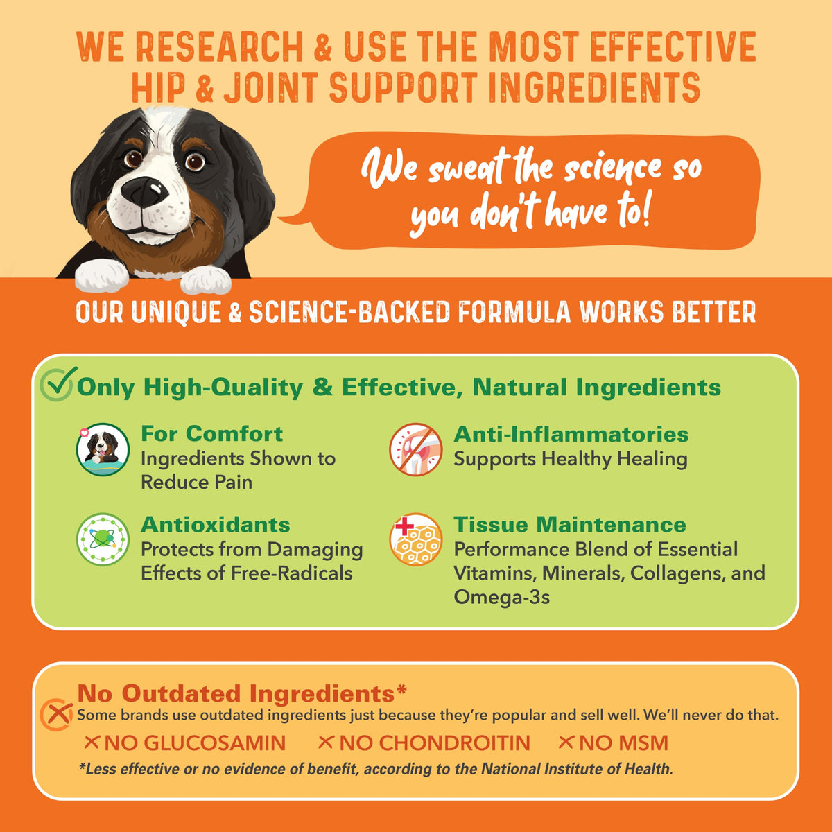 Hip and Joint Supplement for Dogs 90 Ct Soft Chews C61302