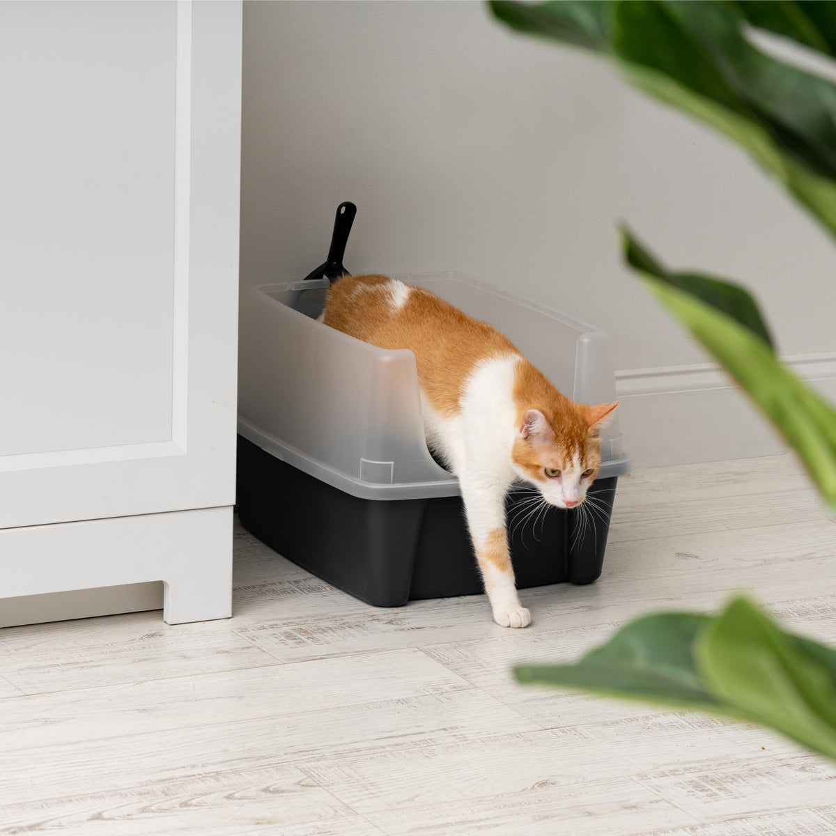 High Sided Cat Litter Box with Scatter Shield, Black R223439