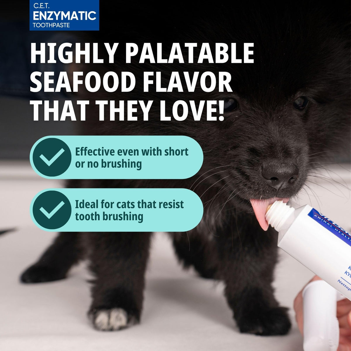 Seafood flavor Cat Toothpaste with Toothbrush Z504