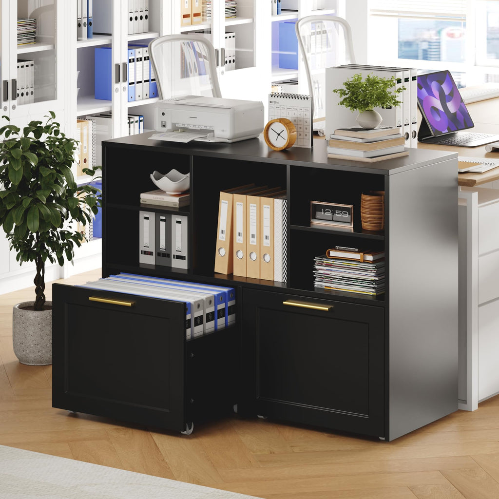 Black 2 Drawer Lateral File Cabinet with Open Storage Cubes S41310