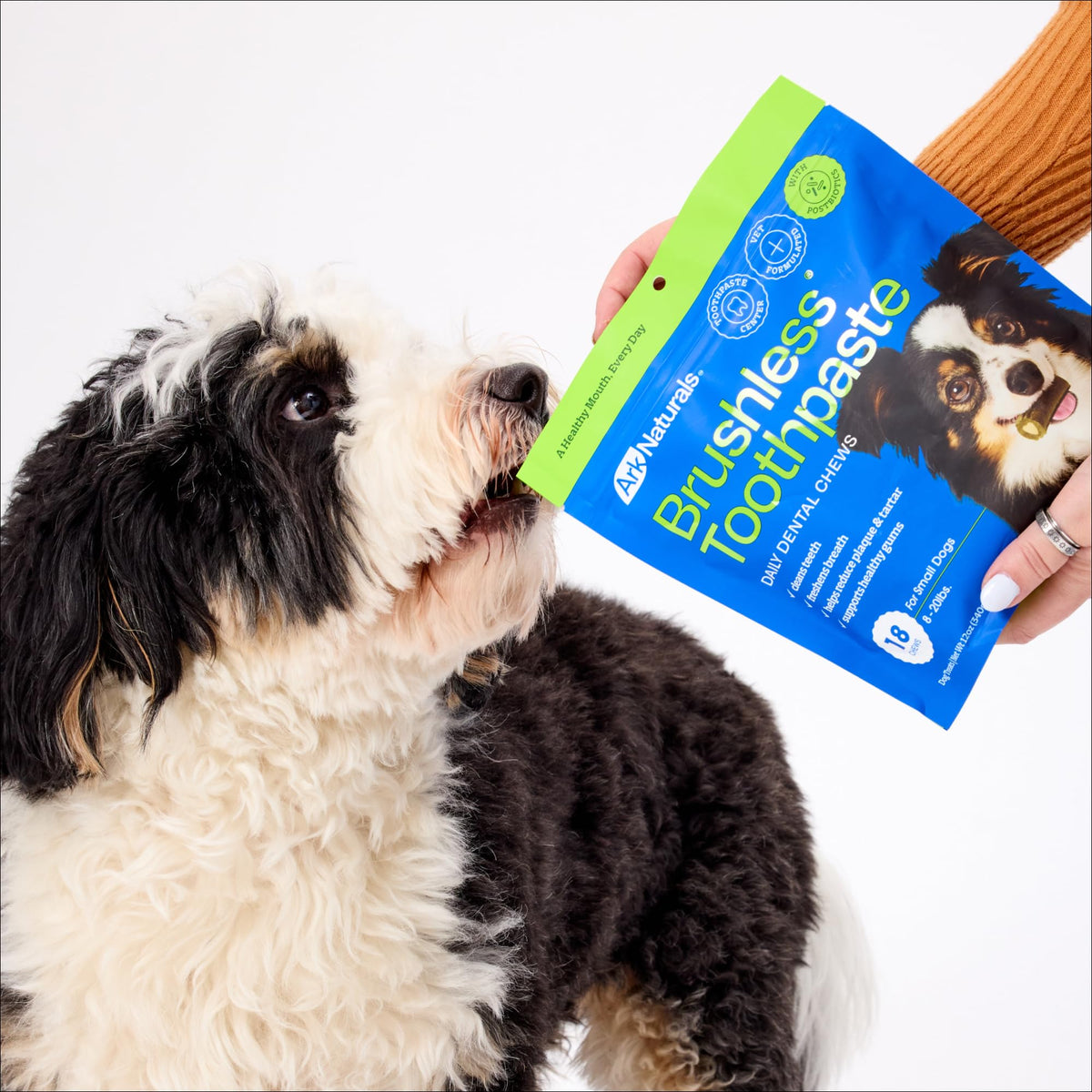 Brushless Toothpaste Dog Dental Treats Small Breeds 18 ct Q367829