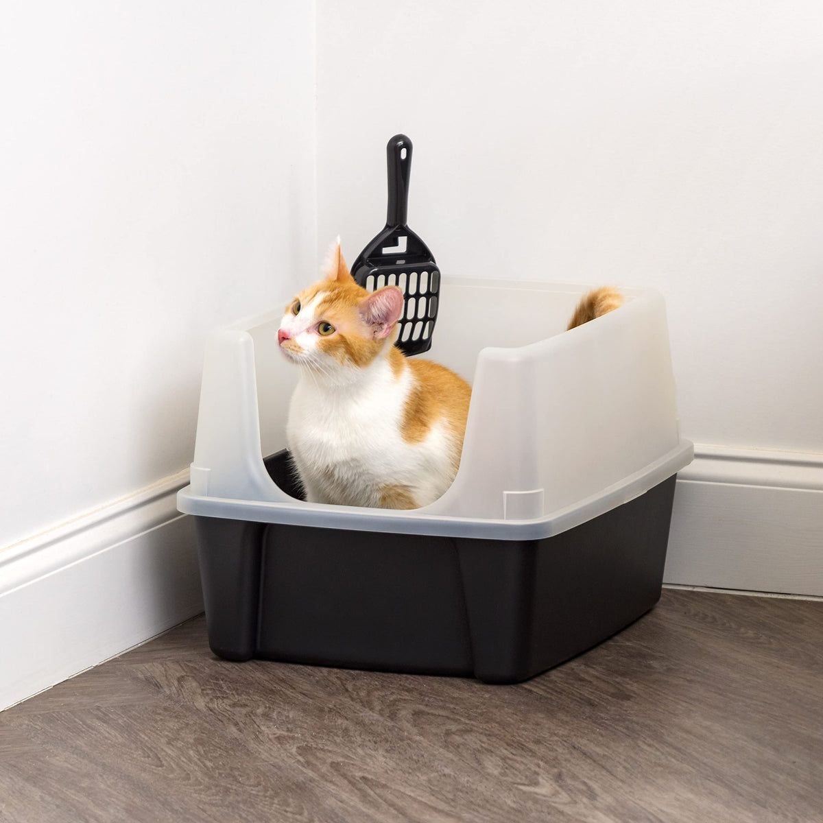 High Sided Cat Litter Box with Scatter Shield, Black R223439