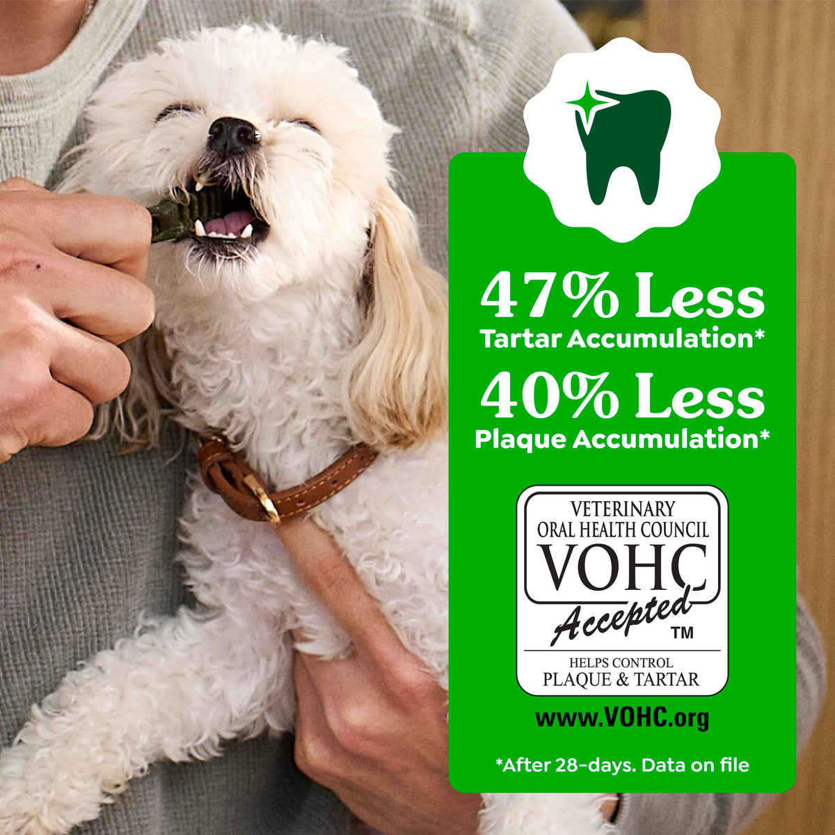Large Natural Dental Dog Treats, 24 Count B5064