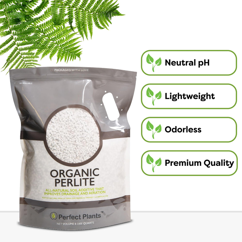 Organic Perlite 4 qt W38809