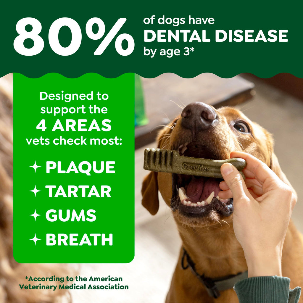 Large Natural Dental Dog Treats, 24 Count B5064