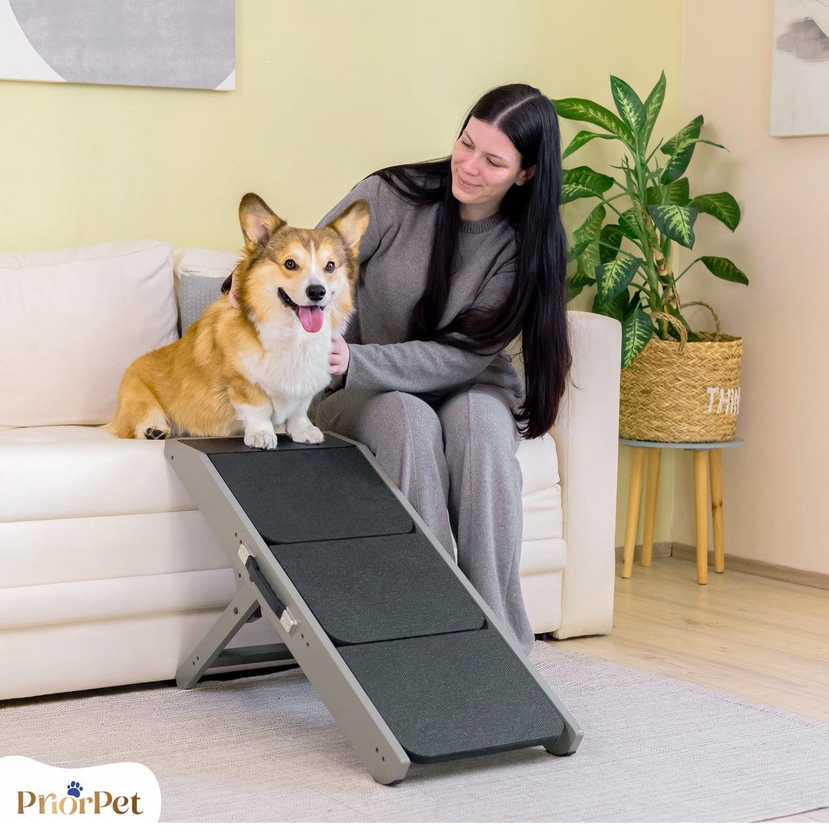 Foldable Non-Slip Dog Ramp B888