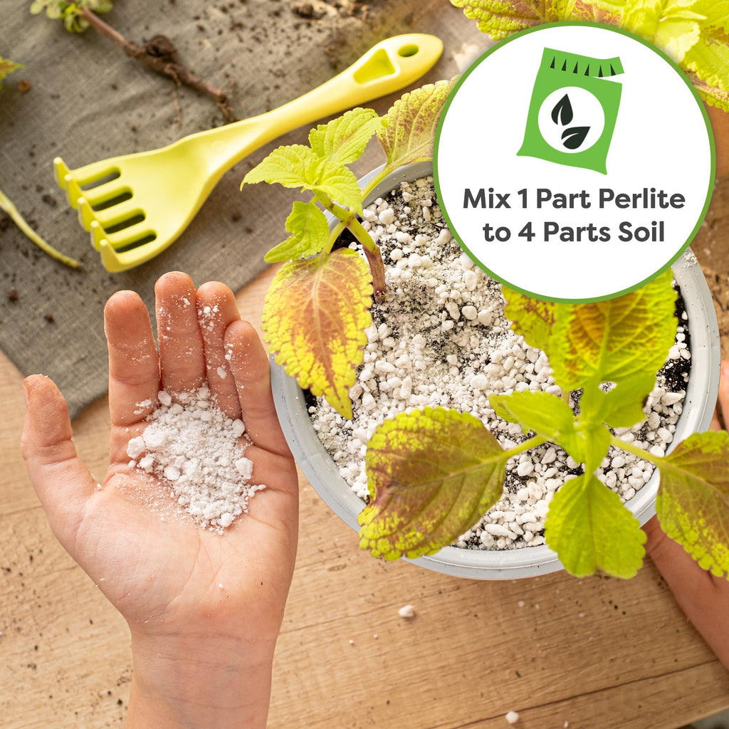Organic Perlite 4 qt W38809