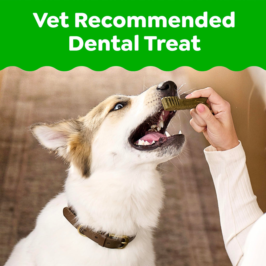 Large Natural Dental Dog Treats, 24 Count B5064