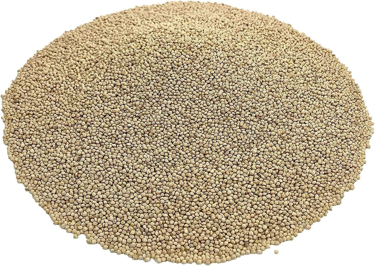 White Millet Proso Seeds 20 Pounds H602620