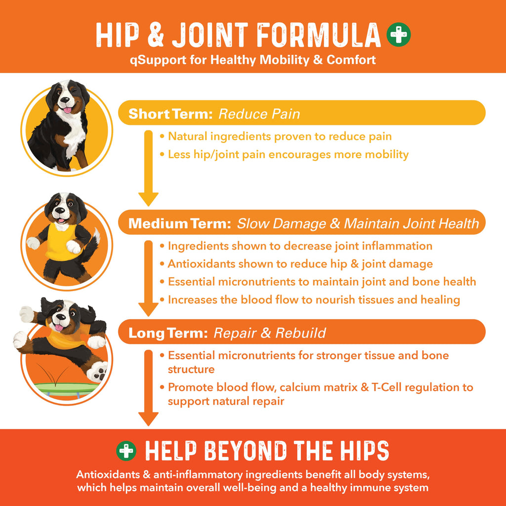 Hip and Joint Supplement for Dogs 90 Ct Soft Chews C61302