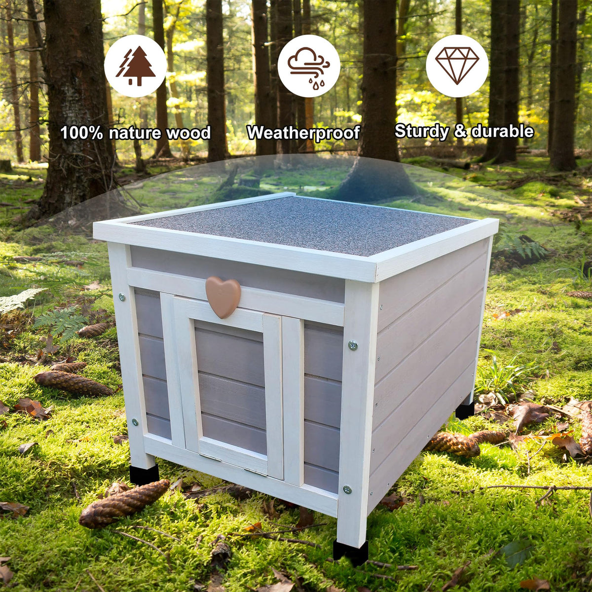 Insulated Outdoor Cat House with Liner B5979