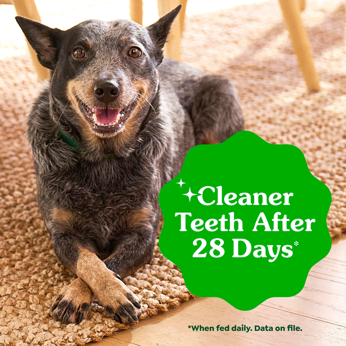 Large Natural Dental Dog Treats, 24 Count B5064