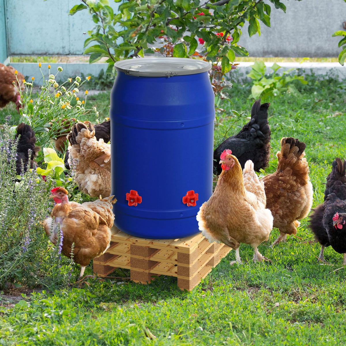 40 Pcs Chicken Waterer Nipples with Drill Bit L5222